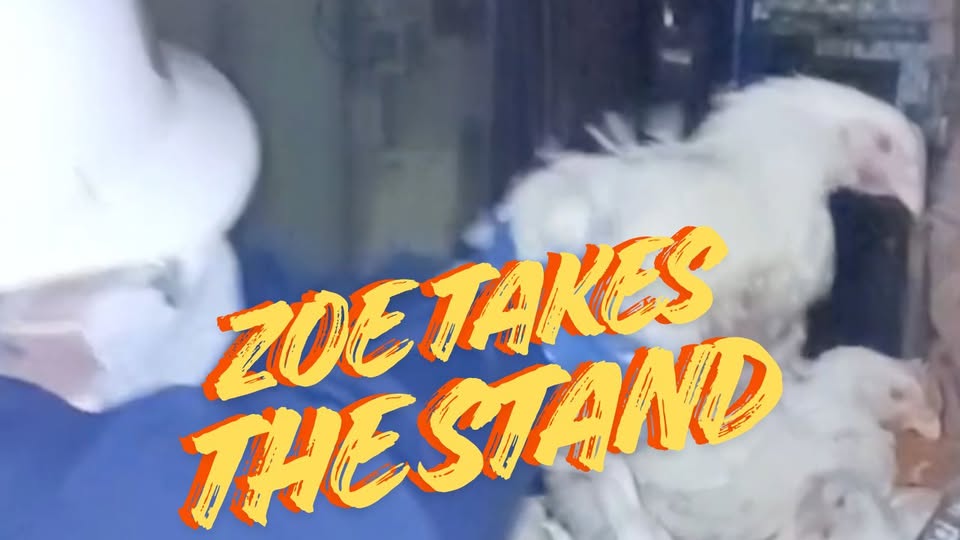 Animal Save Movement