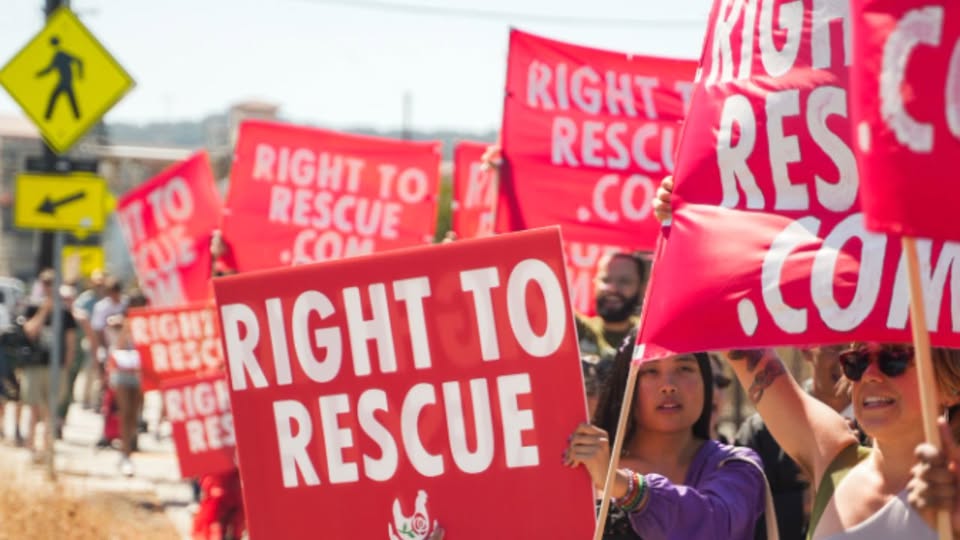 Animal Save Movement