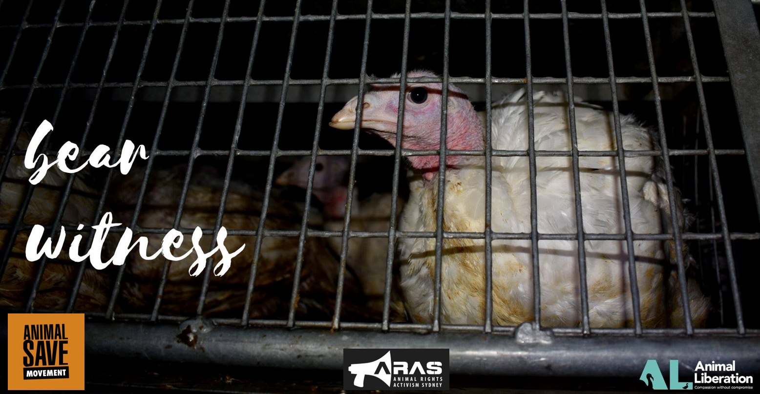 Animal Save Movement