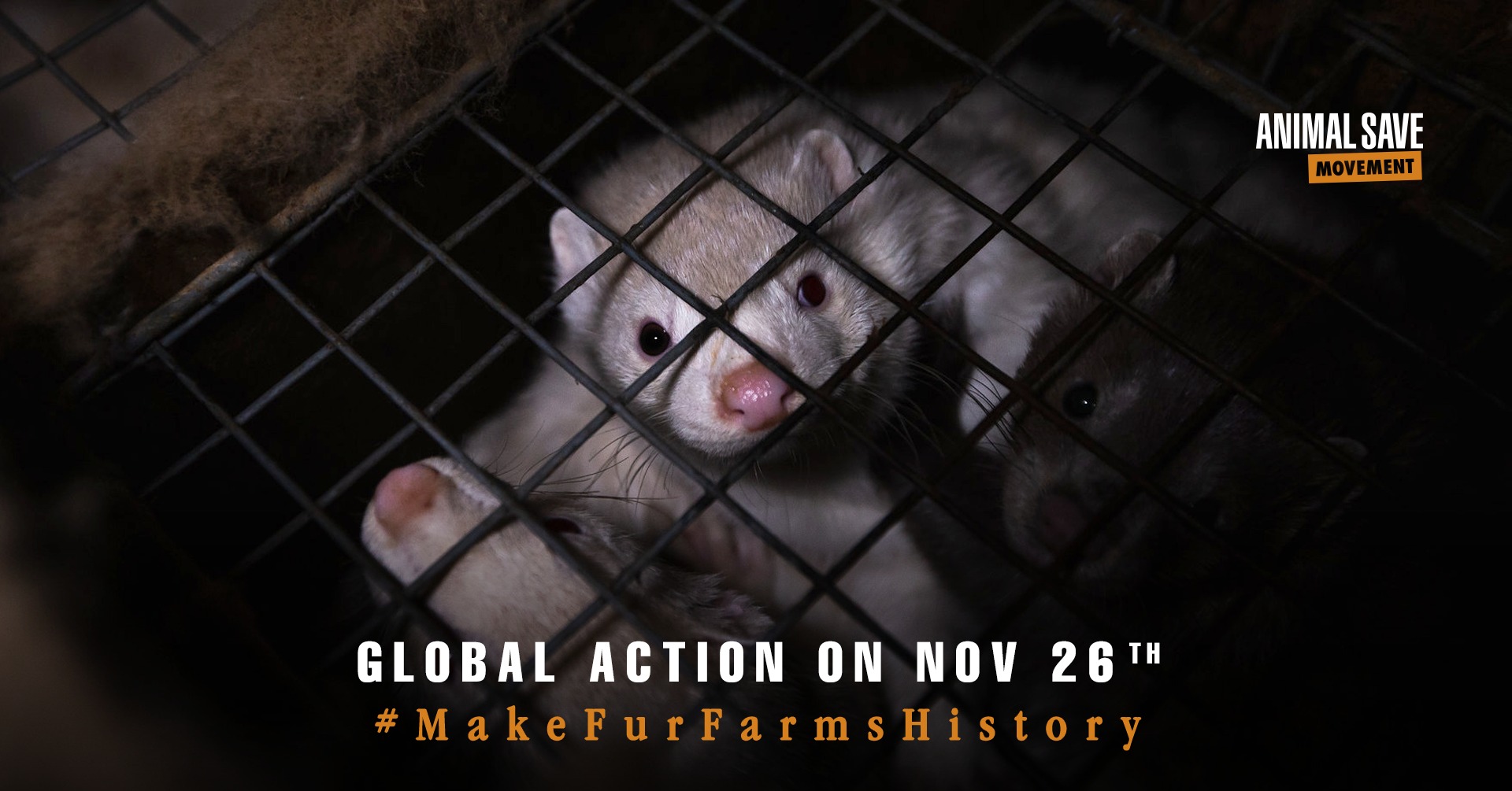 Animal Save Movement