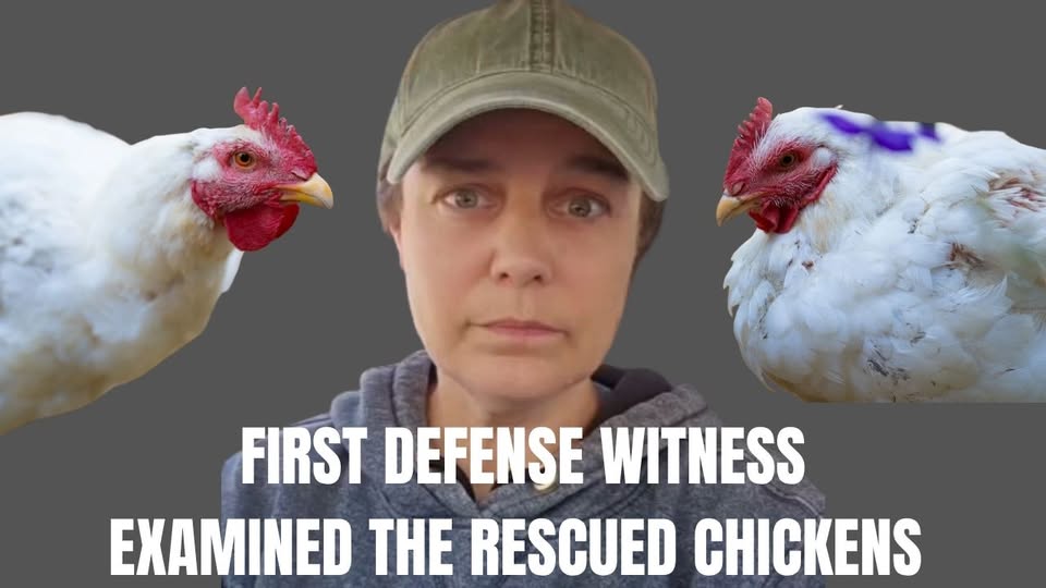 Animal Save Movement