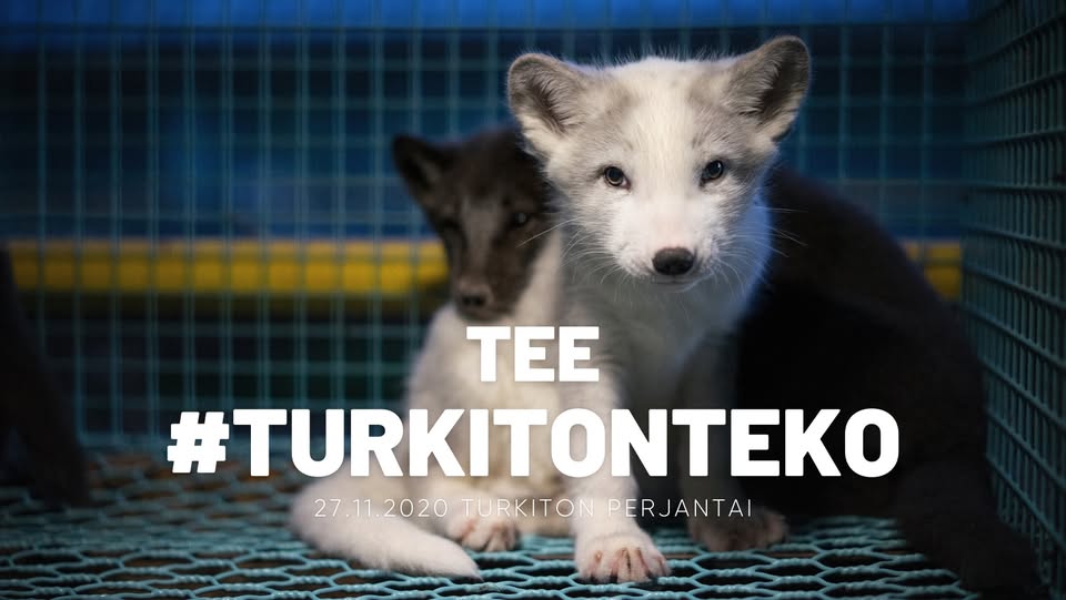 Animal Save Movement