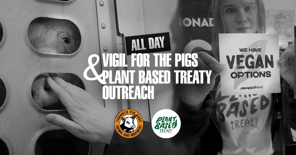 Animal Save Movement