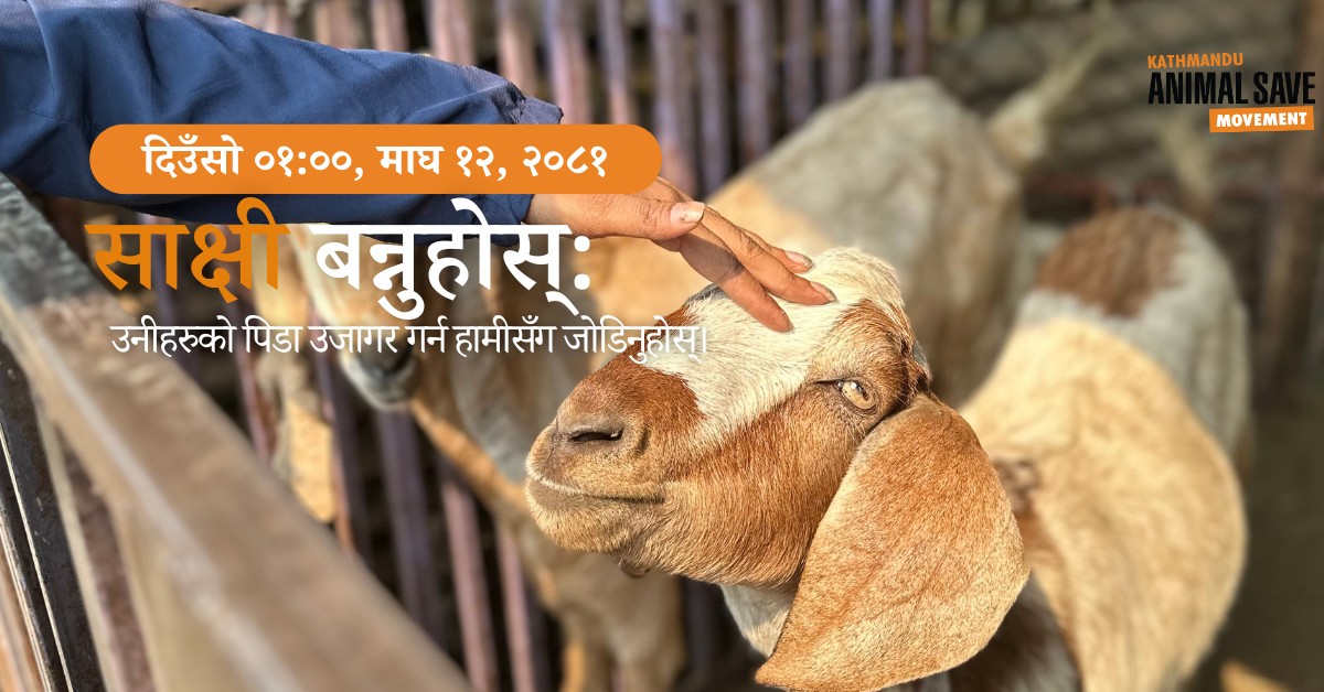 Animal Save Movement