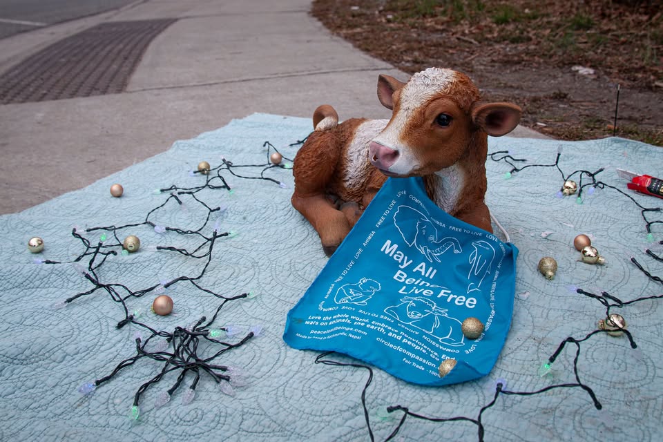 Animal Save Movement