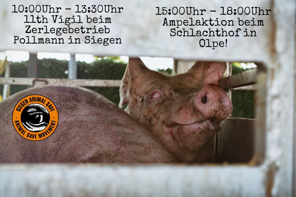 Animal Save Movement