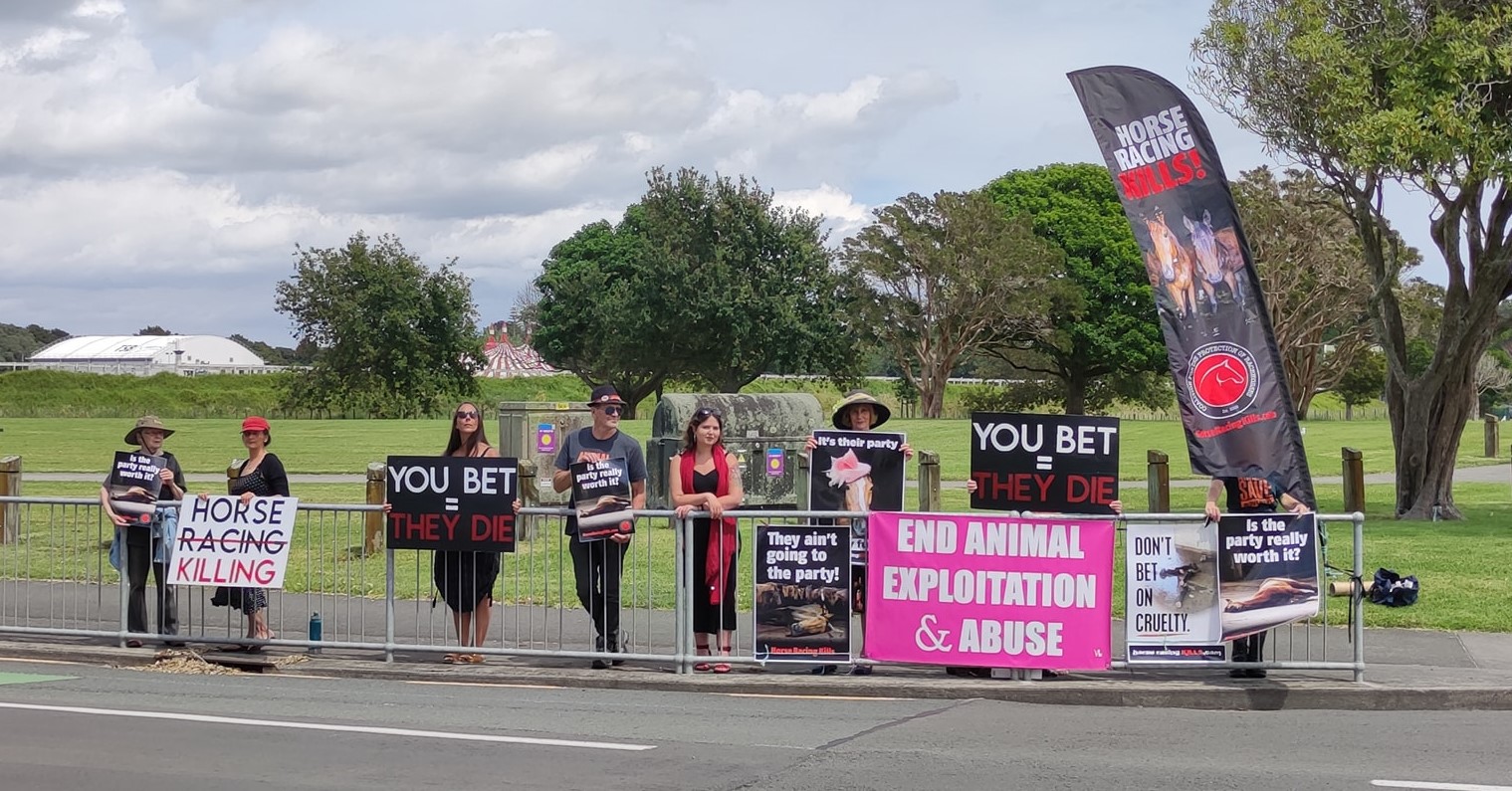 Animal Save Movement