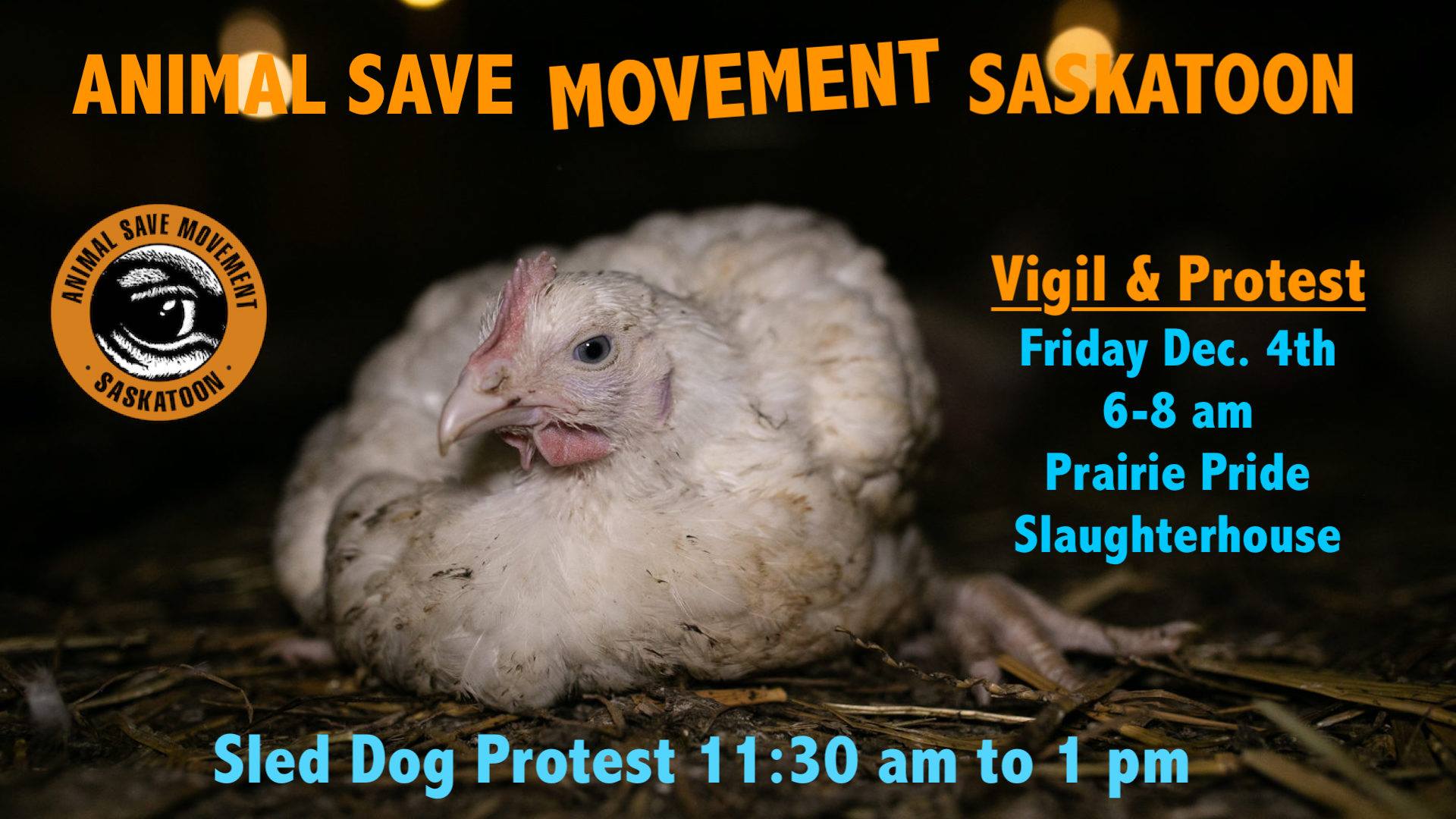 Animal Save Movement