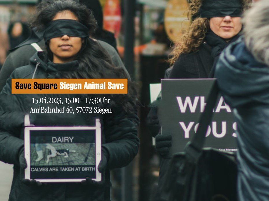 Animal Save Movement