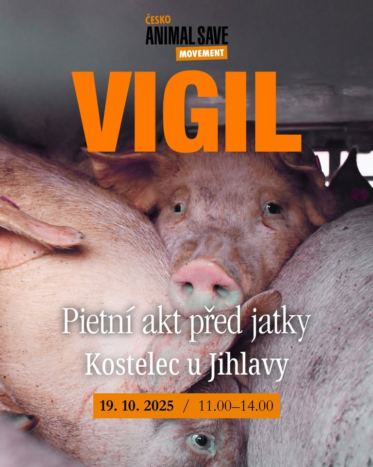 Animal Save Movement