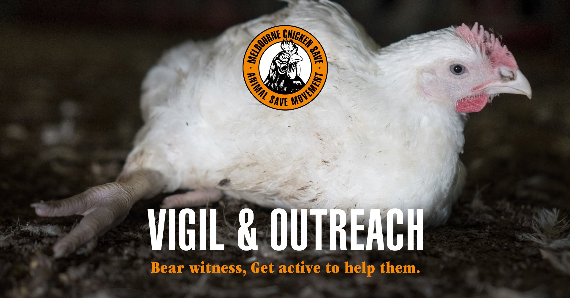 Animal Save Movement