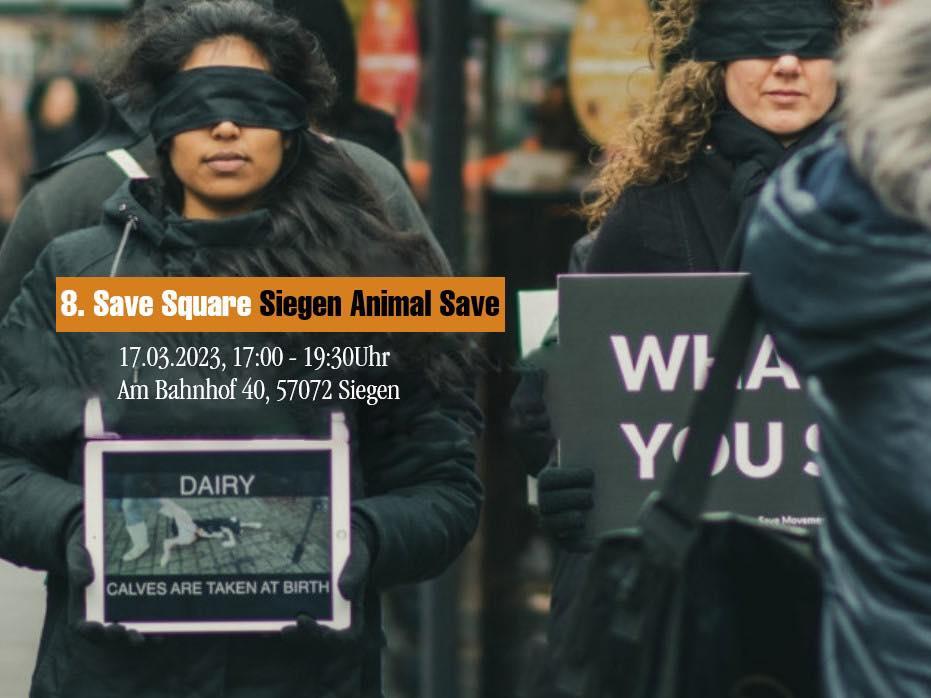 Animal Save Movement