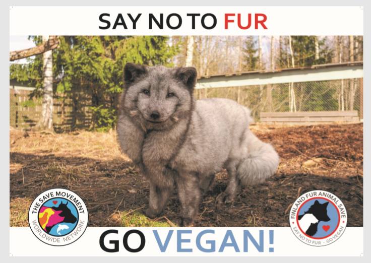 Animal Save Movement