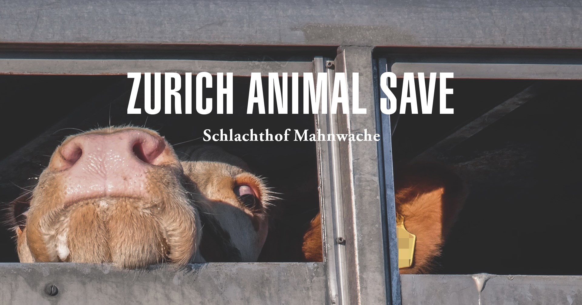 Animal Save Movement