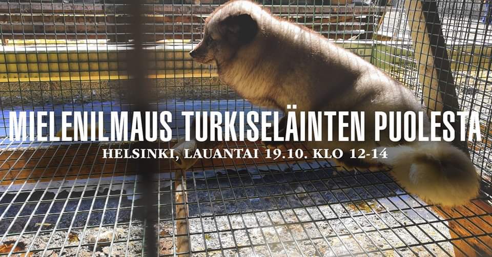 Animal Save Movement