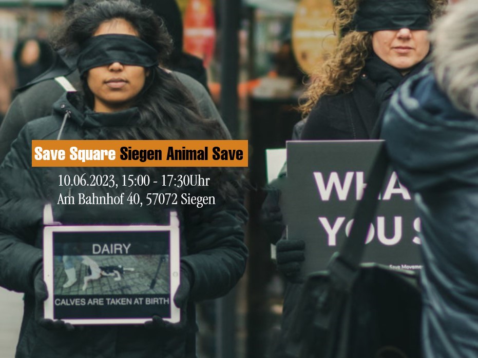 Animal Save Movement