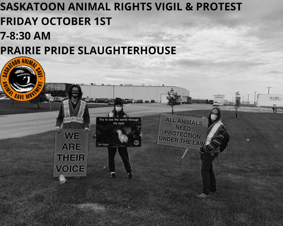 Animal Save Movement
