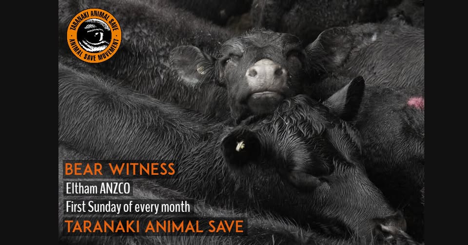 Animal Save Movement