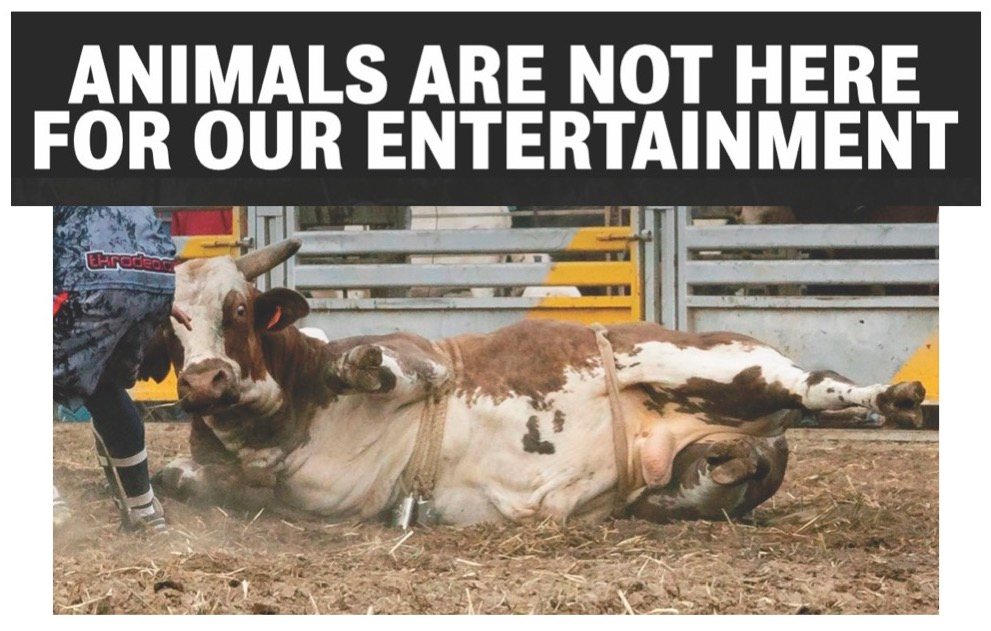 Animal Save Movement