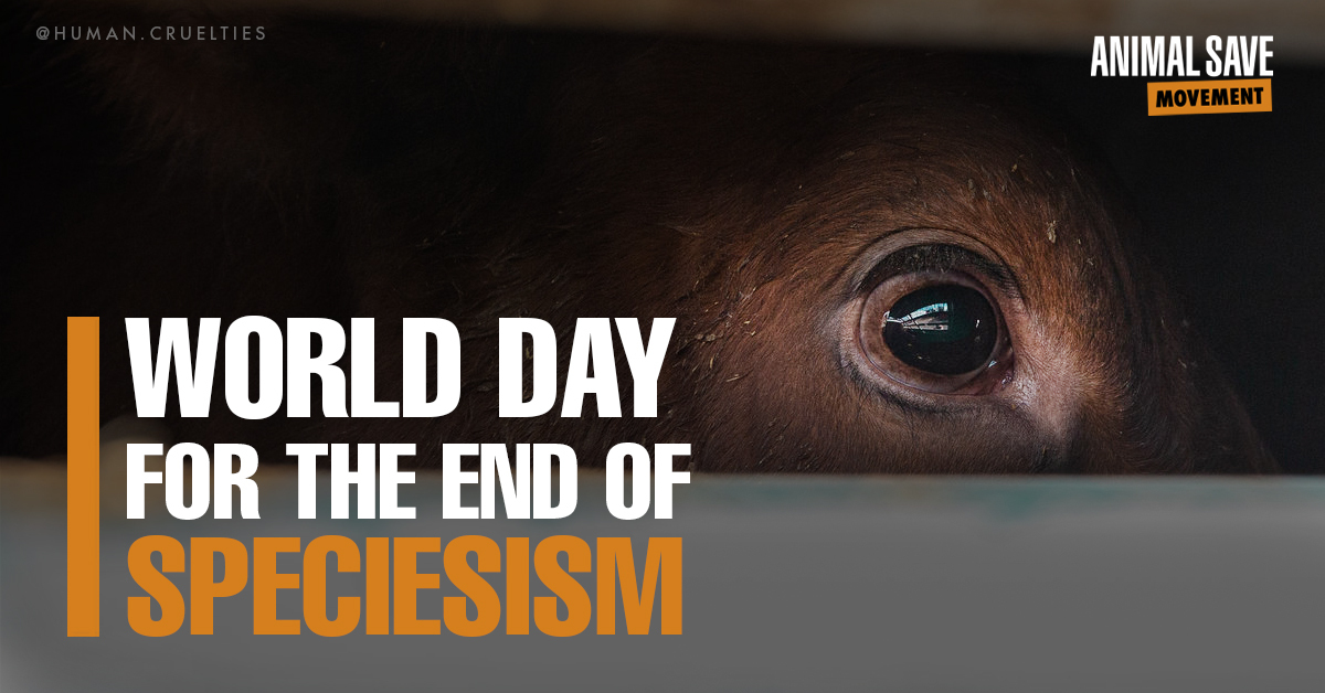 Animal Save Movement