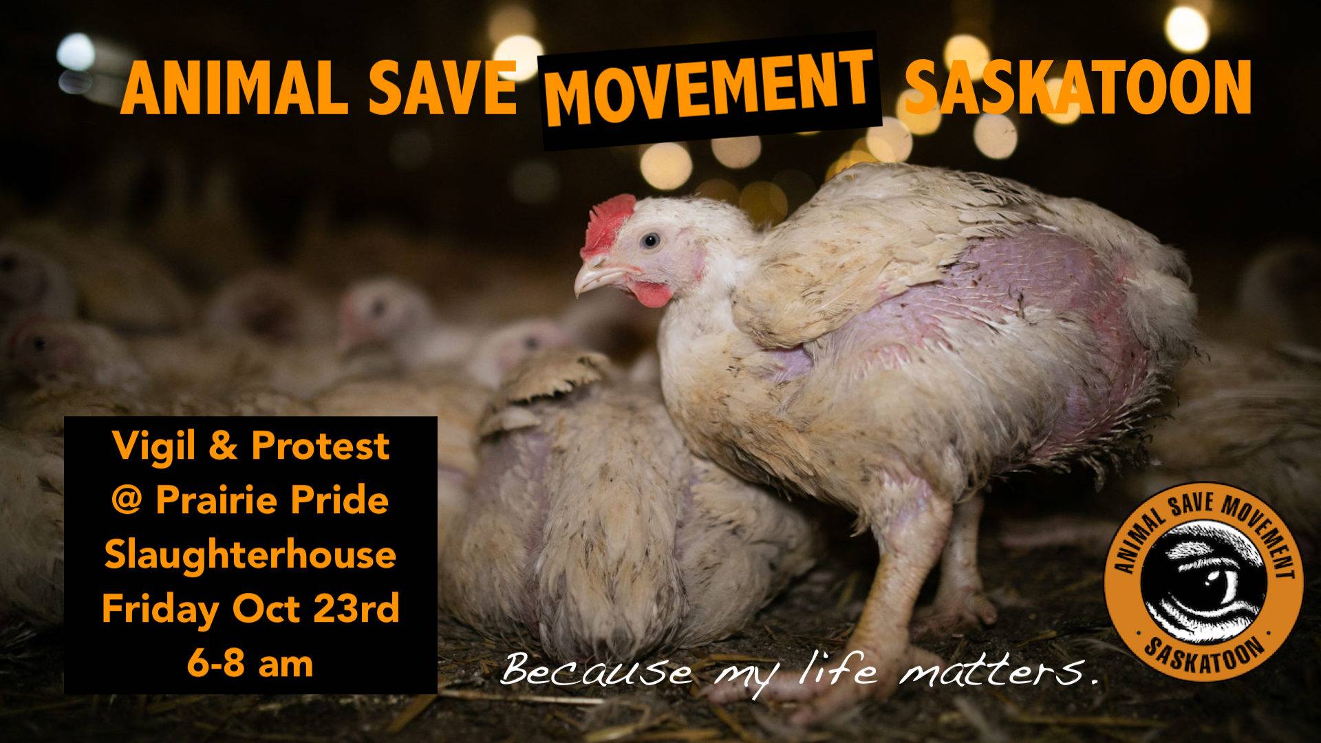 Animal Save Movement