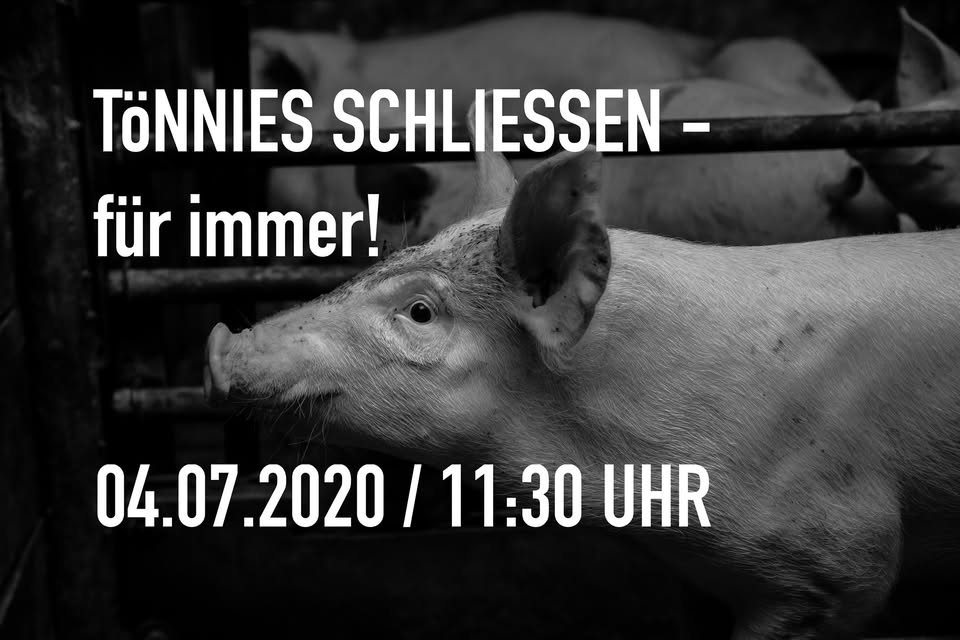 Animal Save Movement