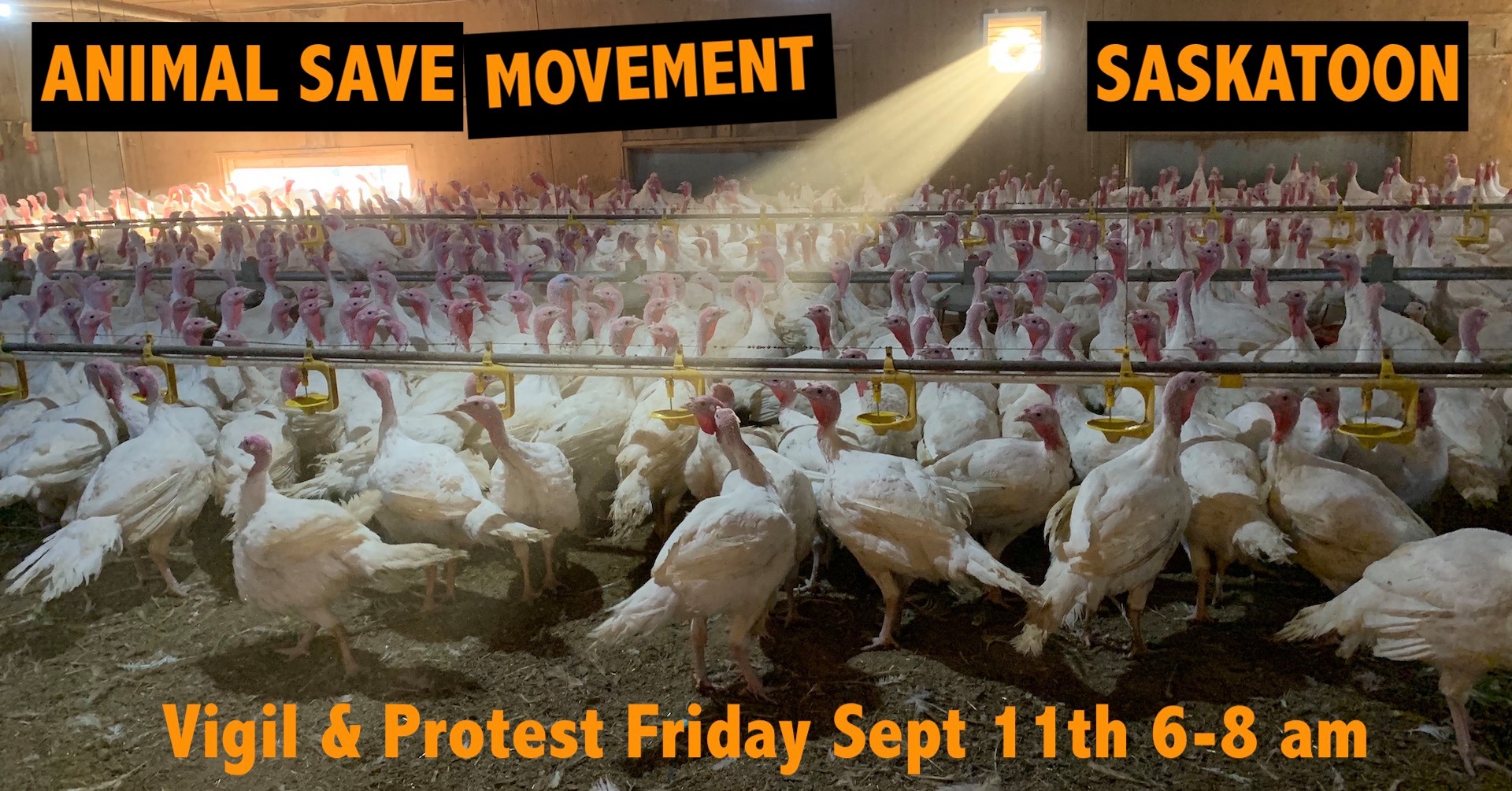 Animal Save Movement