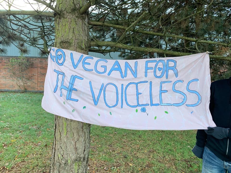 Animal Save Movement