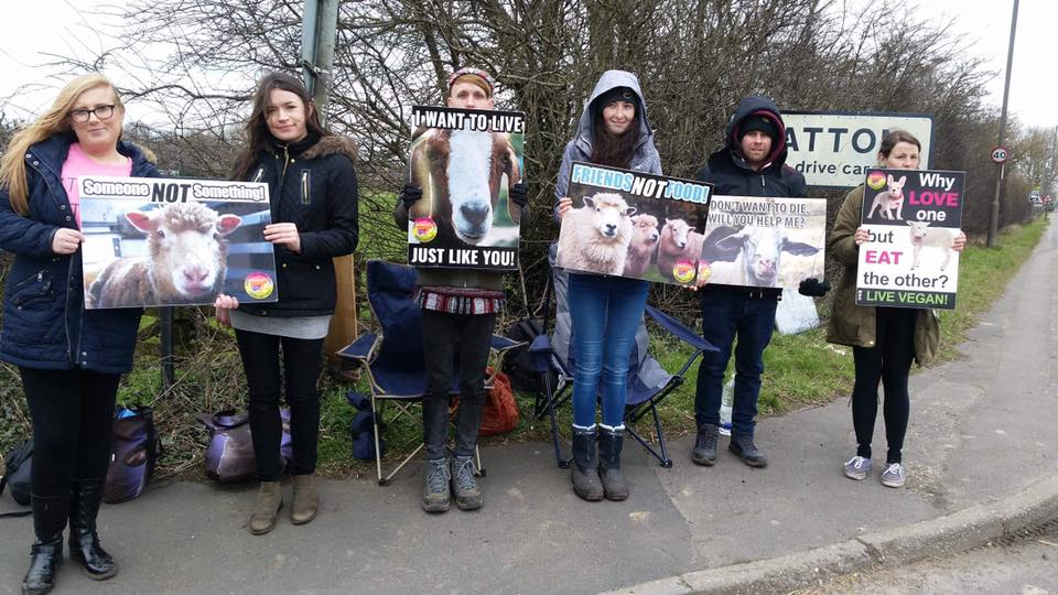 Animal Save Movement