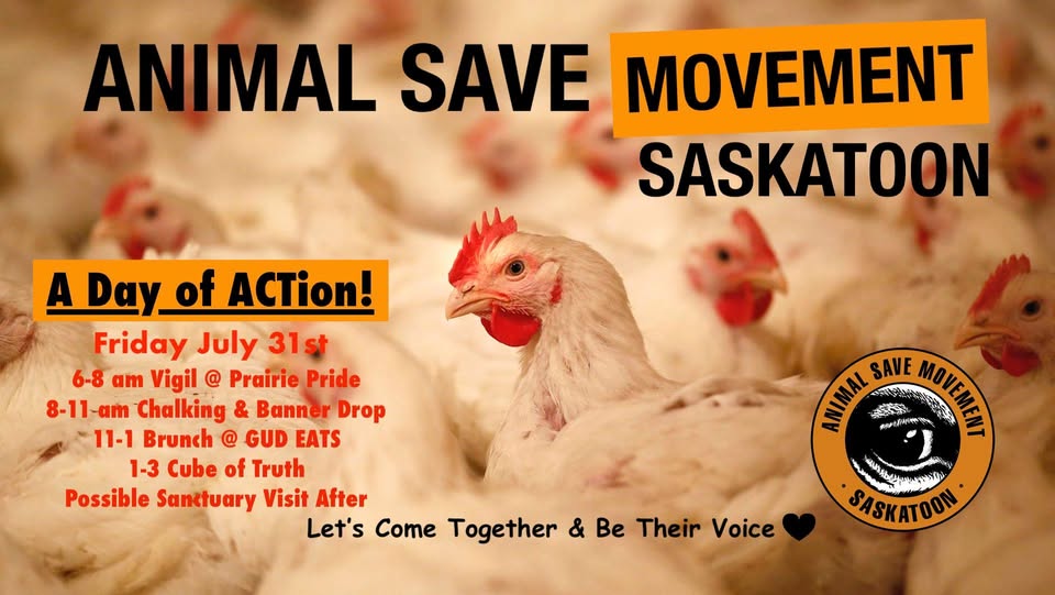 Animal Save Movement