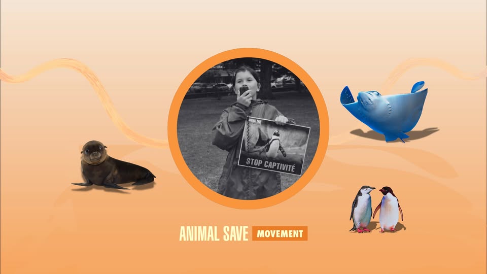 Animal Save Movement