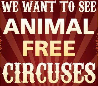 Animal Save Movement