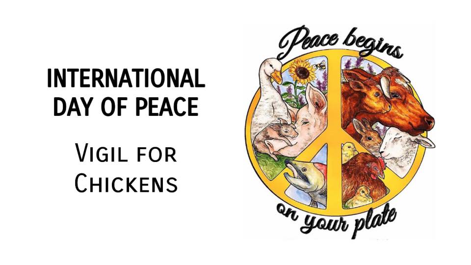 Animal Save Movement
