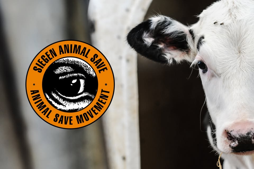 Animal Save Movement