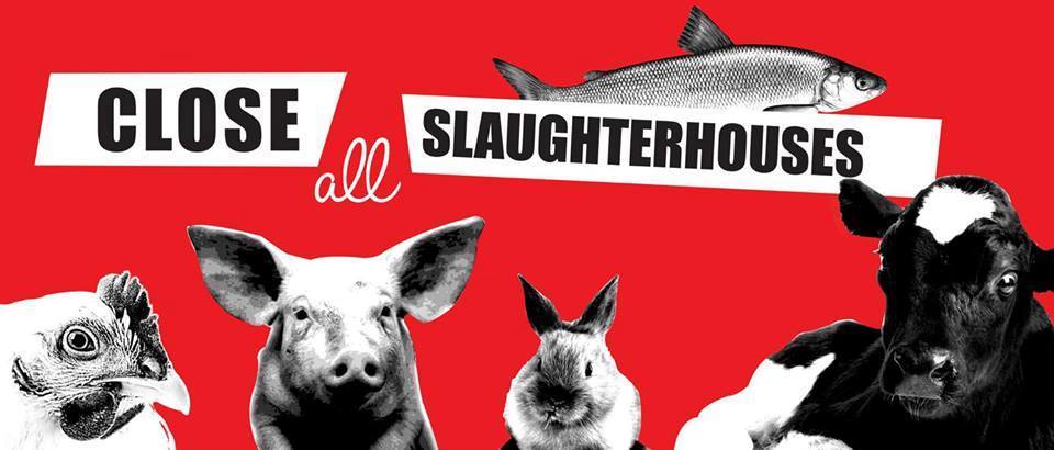 Animal Save Movement