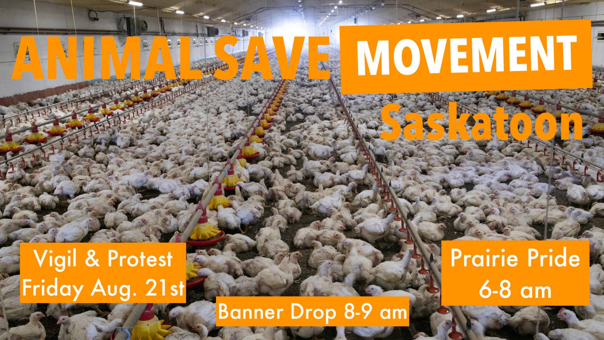 Animal Save Movement