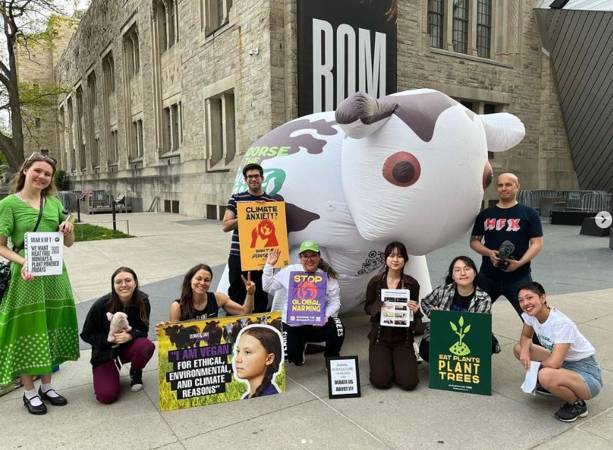 Animal Save Movement