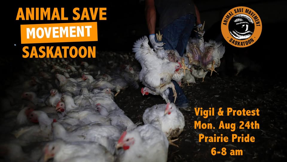 Animal Save Movement