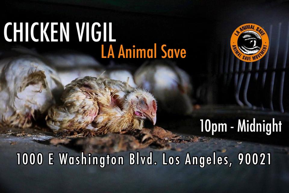 Animal Save Movement