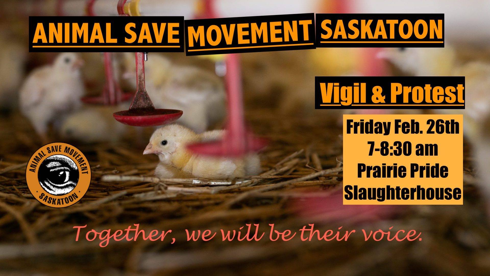 Animal Save Movement