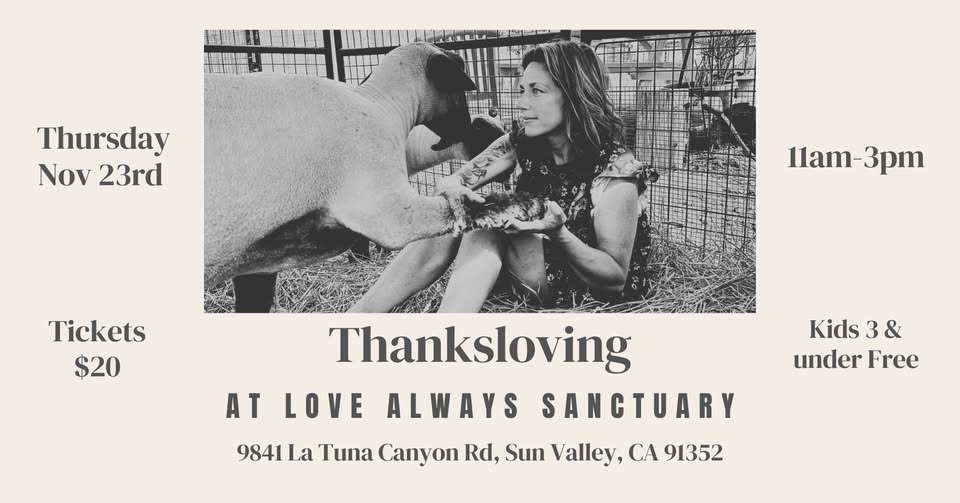 Animal Save Movement