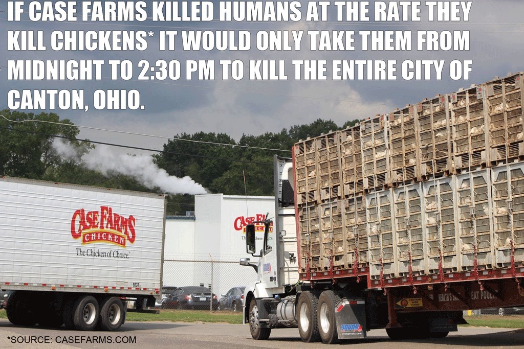 Animal Save Movement