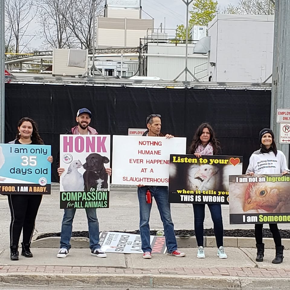Animal Save Movement