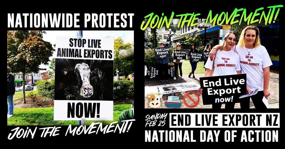 Animal Save Movement