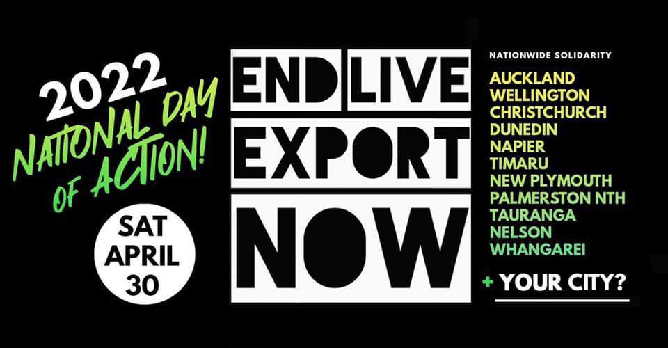 Animal Save Movement