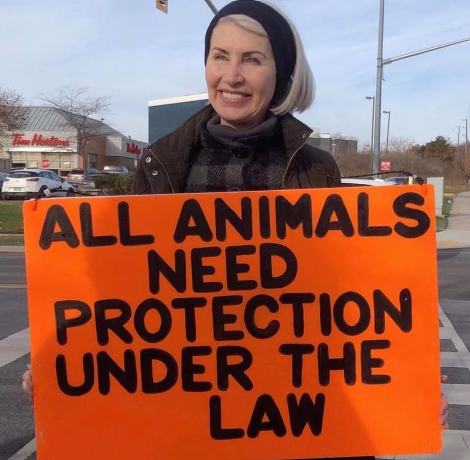 Animal Save Movement