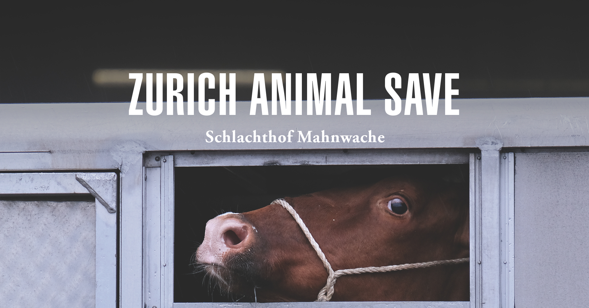 Animal Save Movement