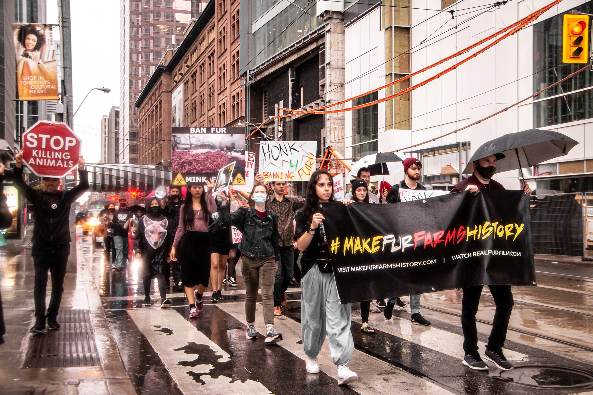 Animal Save Movement