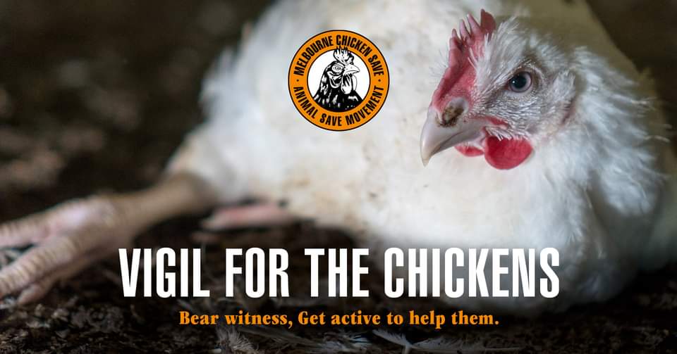 Animal Save Movement