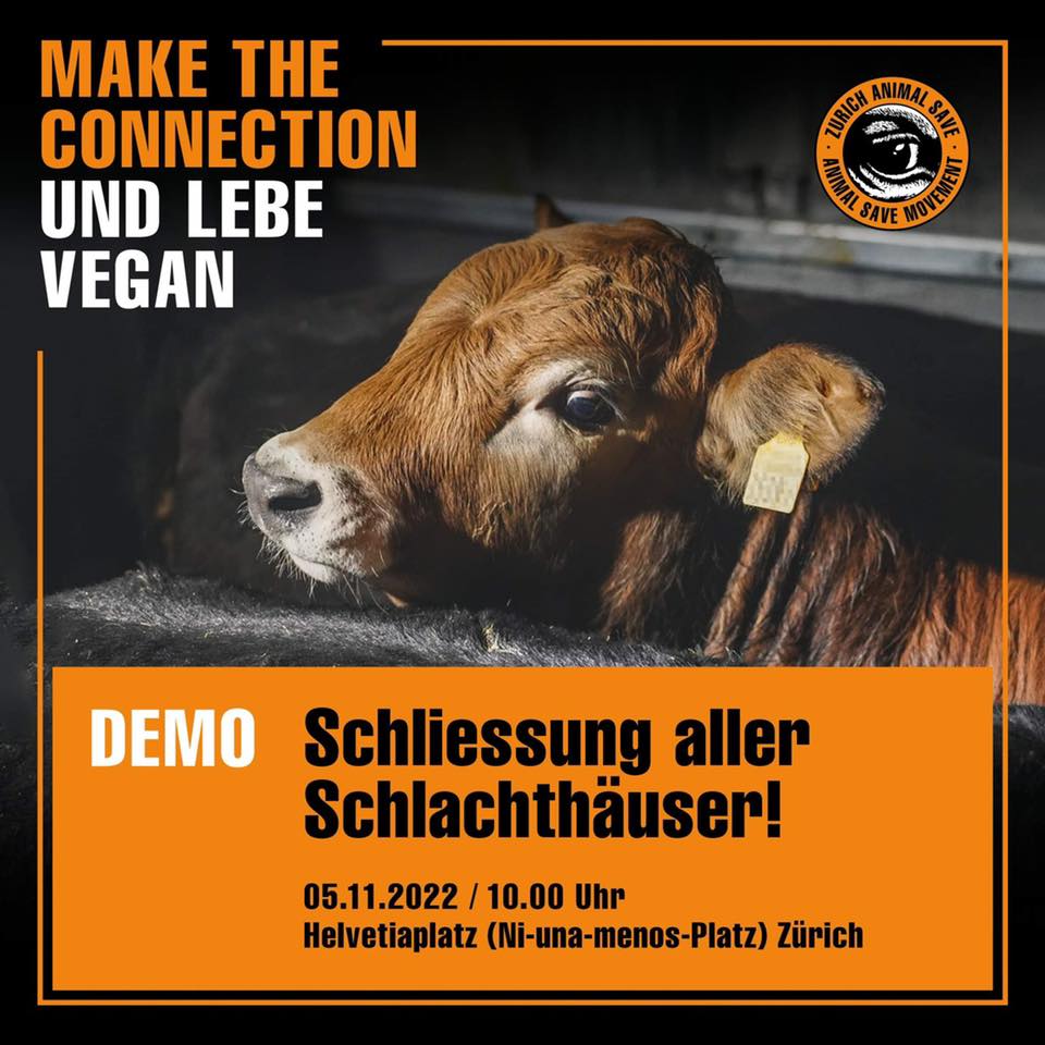 Animal Save Movement